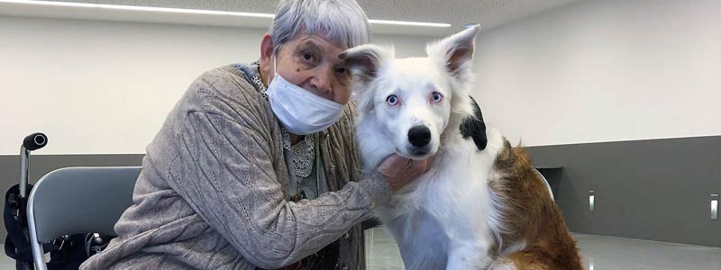 Las actividades con perros o la “huertoterapia” ofrecen múltiples beneficios en la salud de los mayores